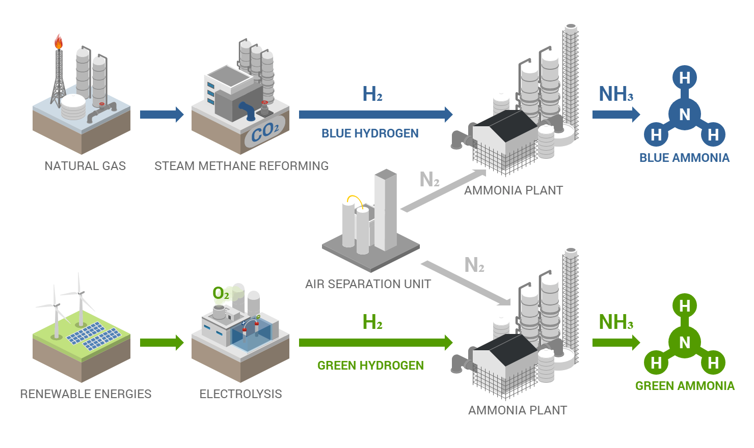 green-blue-ammonia